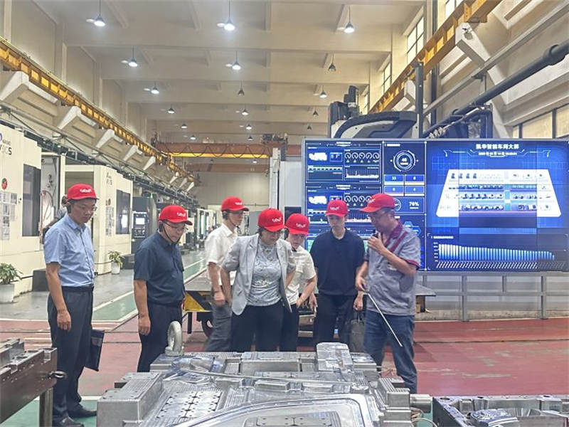 Kaihua Injection Mold 3